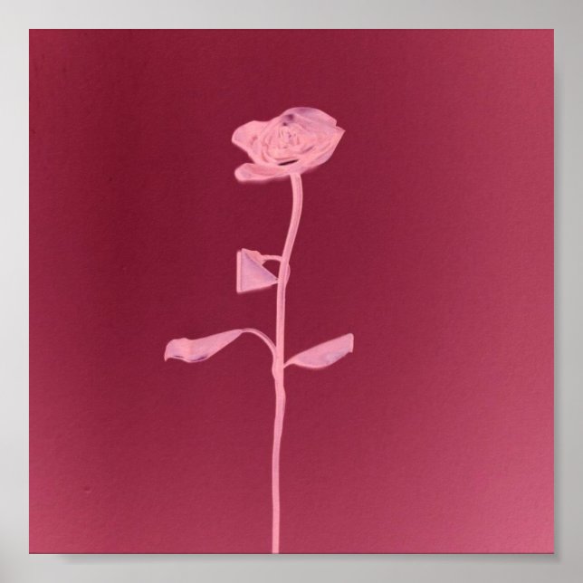 PÔSTER ROSA EXCLUSIVO (Frente)