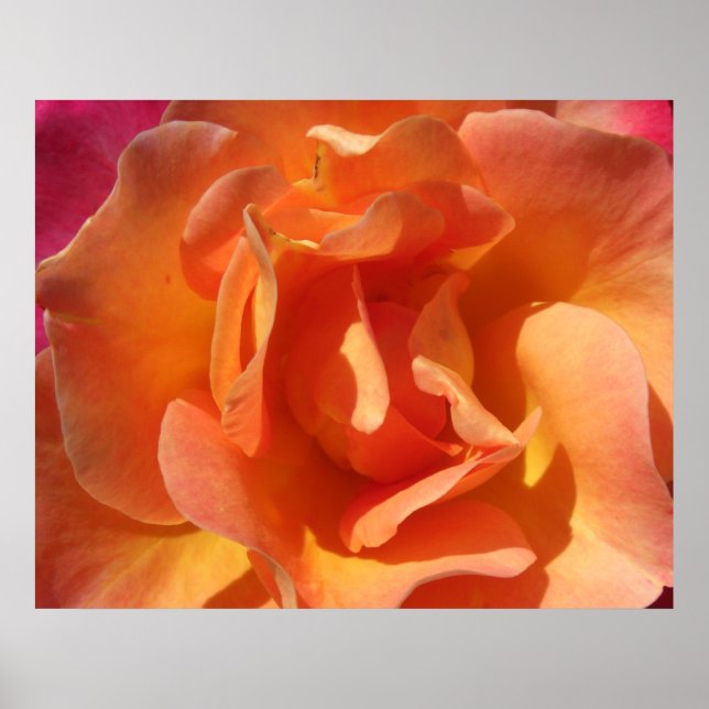 Poster Rosa Fechar (Frente)
