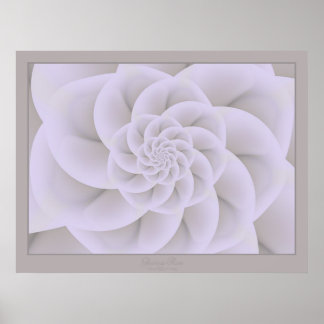 Poster Rosa glorioso