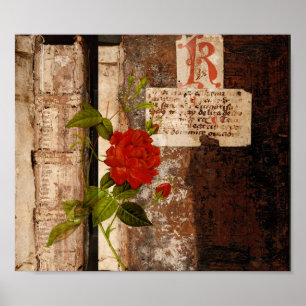Poster Rosa Grunge