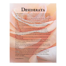 Rosa Laranja Pastel e Poema Desiderata