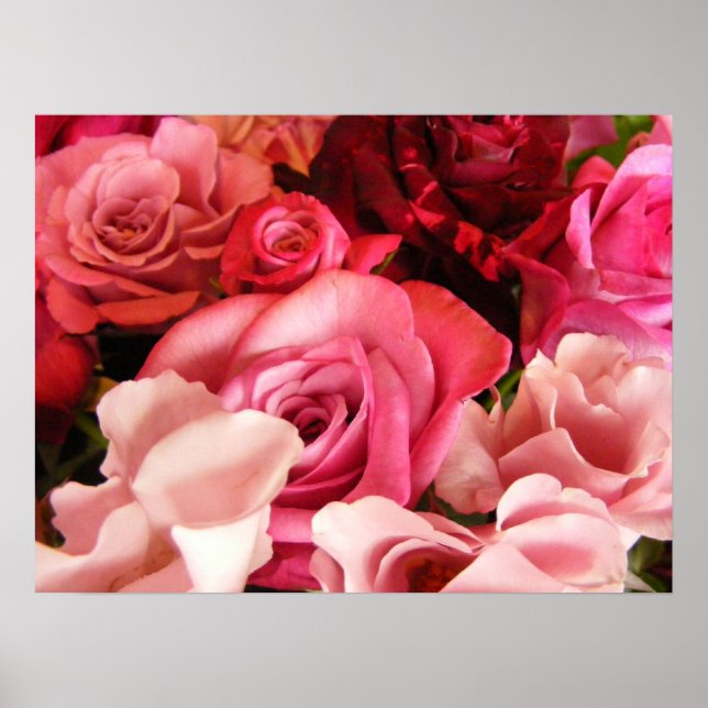Poster Rosa Love (Frente)