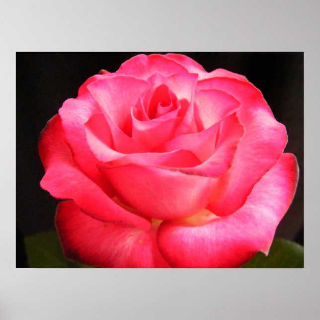 Pôster Rosa Mais Profundo (Frente)