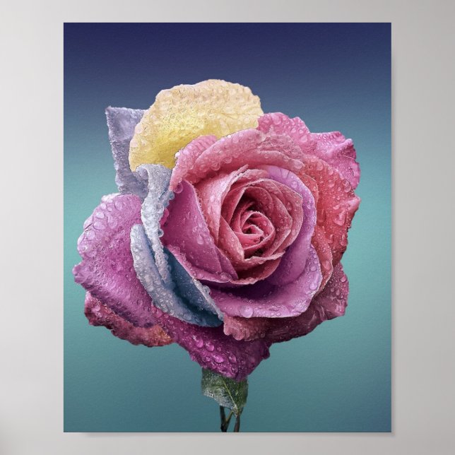 Poster Rosa multicolor (Frente)
