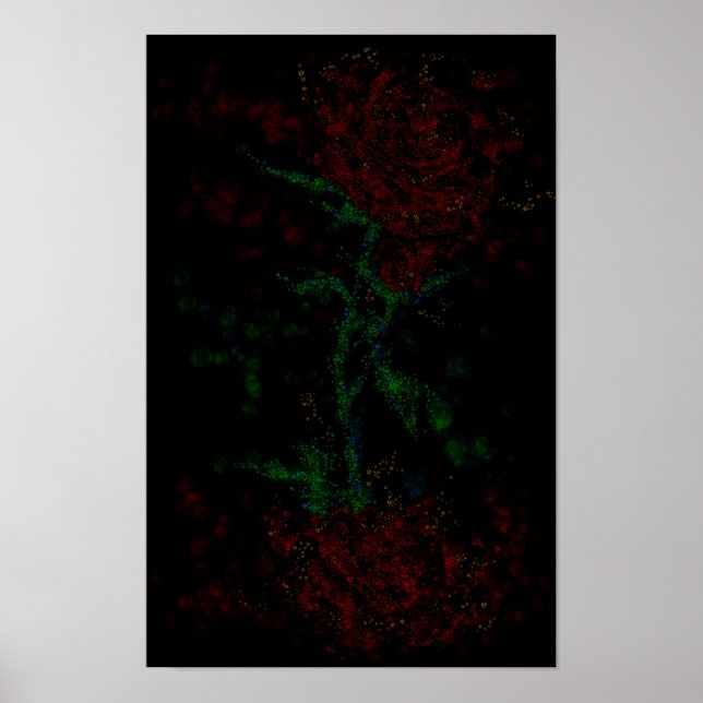 Poster Rosa no escuro (Frente)