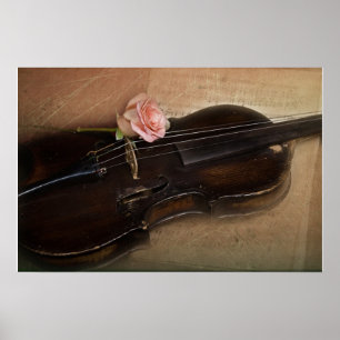 Poster Rosa no violino