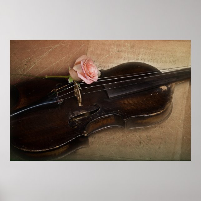 Poster Rosa on Violin (Frente)