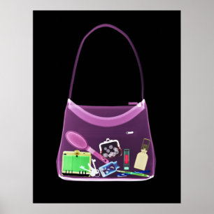 POSTER - ROSA ORIGINAL DA BOLSA DO RAIO X