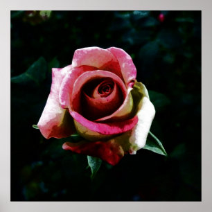 Poster Rosa pintada a óleo