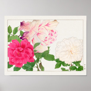 Poster Rosa por Tanigami Konan