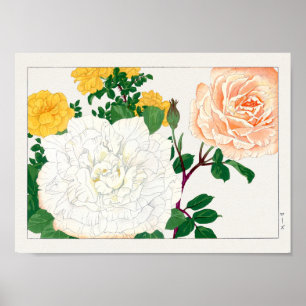 Poster Rosa por Tanigami Konan