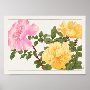 Poster Rosa por Tanigami Konan