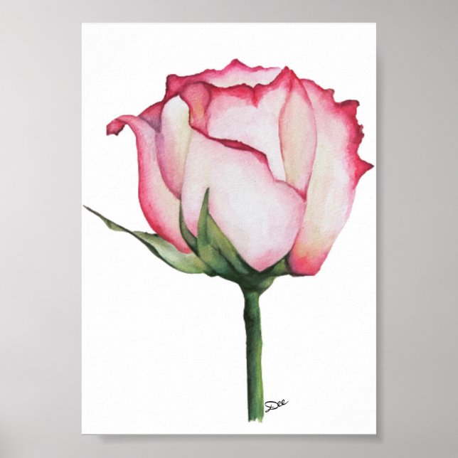 Poster Rosa Premium Canvas 5x7 (Frente)