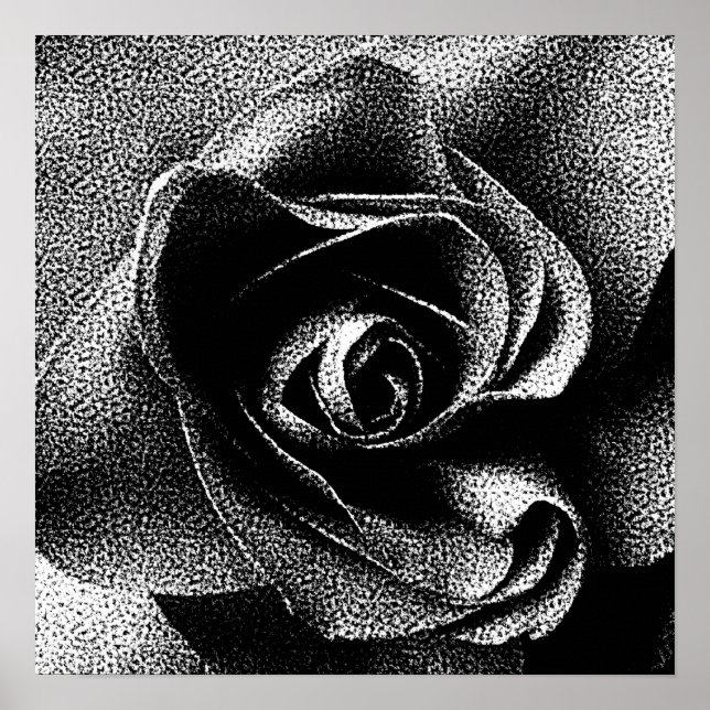 PÔSTER ROSA PRETA (Frente)