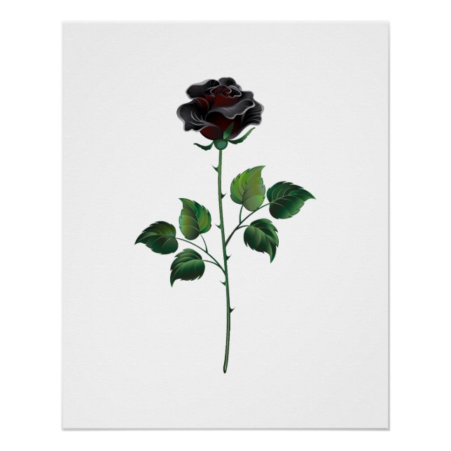 Pôster Rosa preto (Frente)