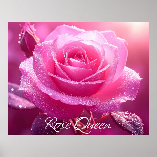 Poster Rosa Queen (Frente)