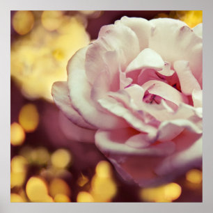 Poster Rosa Romântica e Ouro Amarelo