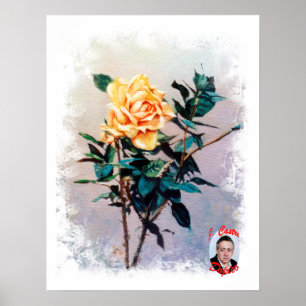 Poster Rosa/Rosa