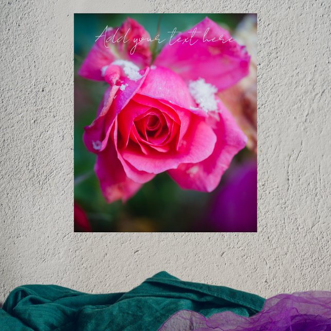 Poster Rosa rosa com flocos de neve (Criador carregado)