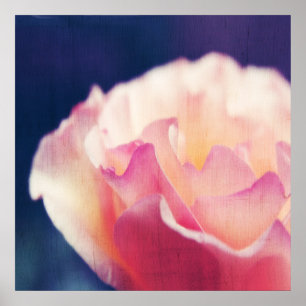 Poster Rosa Rosa Romântica no Abstrato de Macro Canvas