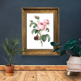 Poster Rosa Rosa Rosa Rosa Rosa e Borboleta