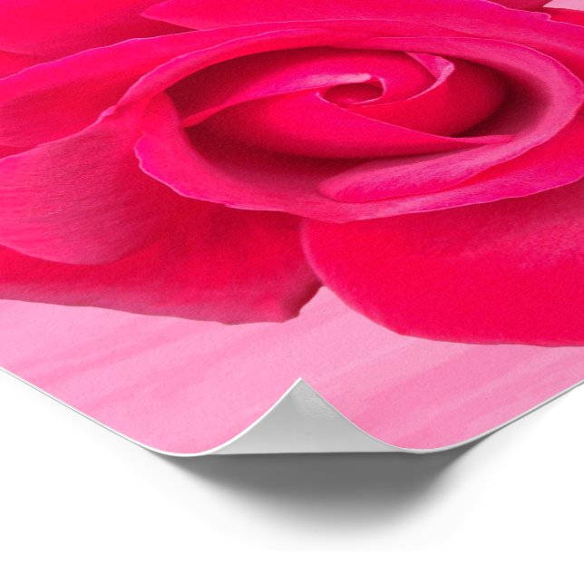 Pôster Rosa Rosa Vermelha Romântica (Borda)