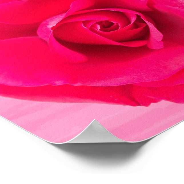Pôster Rosa Rosa Vermelho Romântico v2 (Borda)