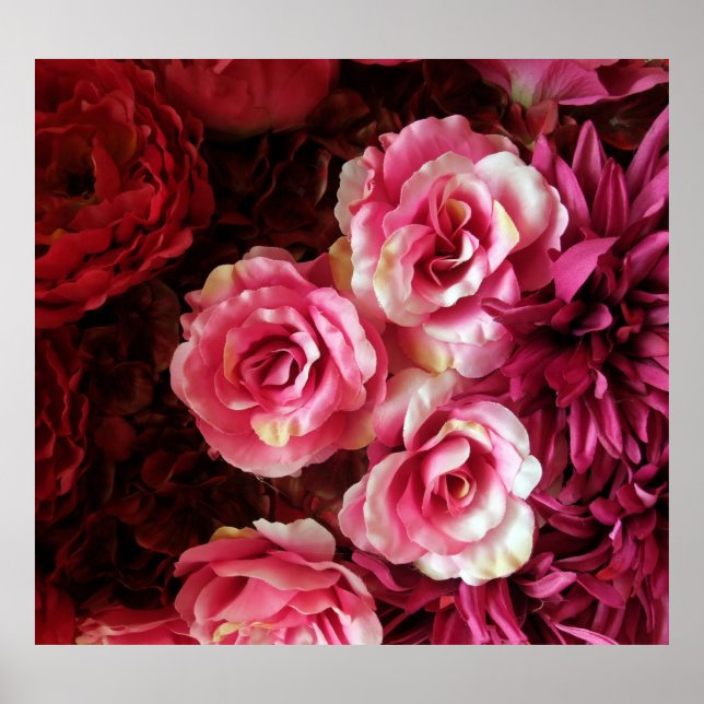 Poster Rosa, rosas vermelhas: fundo do tecido. (Frente)