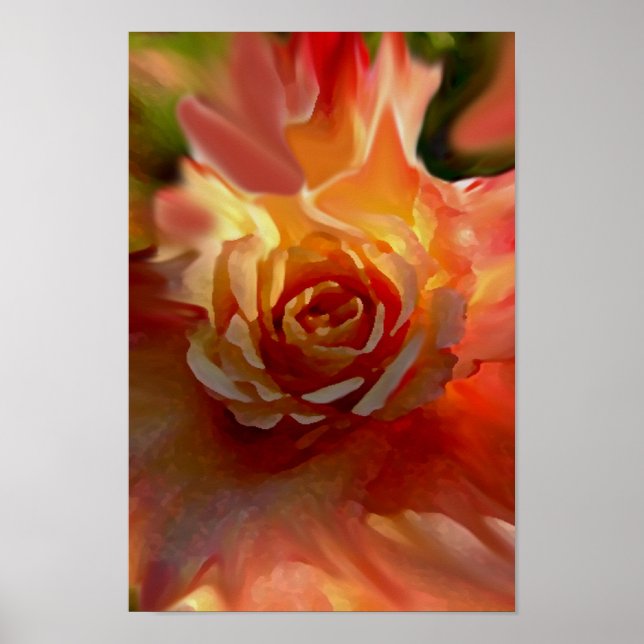 Poster Rosa solteiro (Frente)