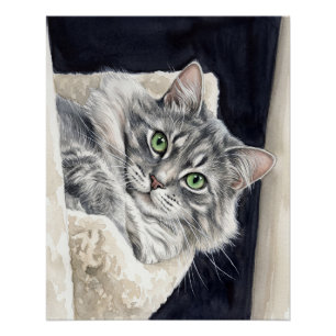 Pôster Rosa um Gato com Olhos Verdes Marcantes