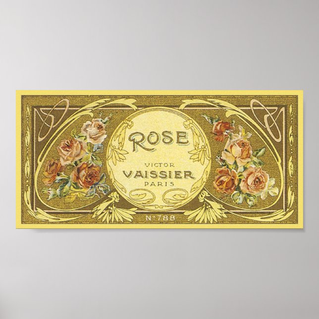Pôster Rosa Vaissier Paris (Frente)