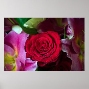 POSTER ROSA VERMELHA