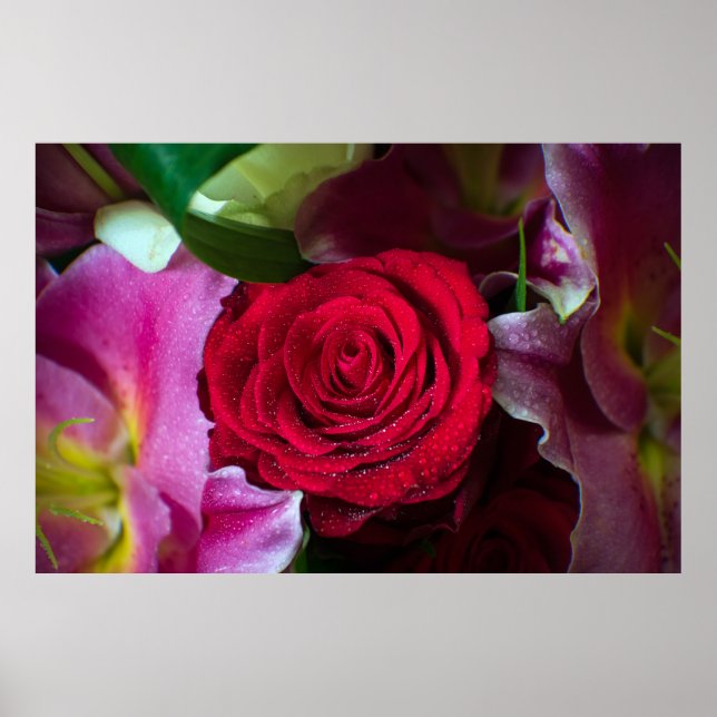 POSTER ROSA VERMELHA (Frente)