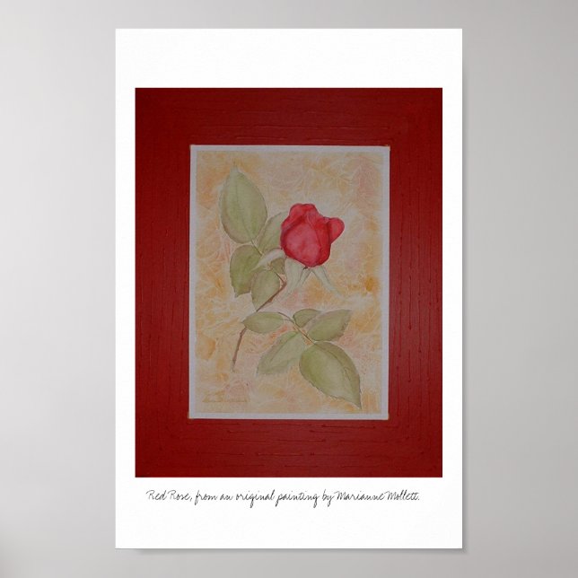 Pôster Rosa vermelha (Frente)