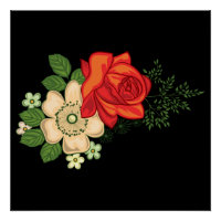 Rosa Vermelha e Margaridas Fundo Preto