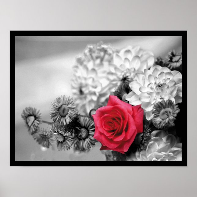 Poster Rosa vermelha elegante (Frente)