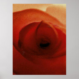 POSTER ROSA VERMELHA EM DESTAQUE