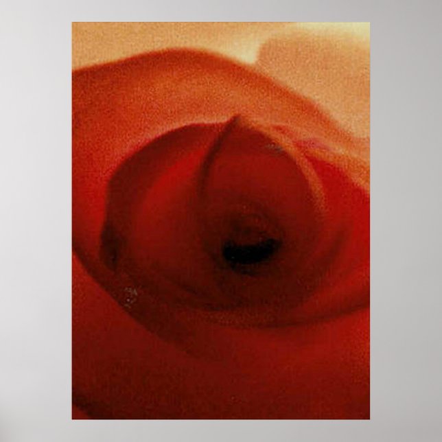 POSTER ROSA VERMELHA EM DESTAQUE     (Frente)