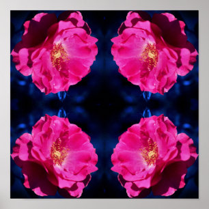 Poster Rosa vermelha No Flor Abstrato Azul