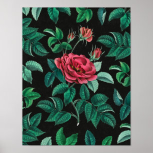 Poster Rosa Vermelha Vintage