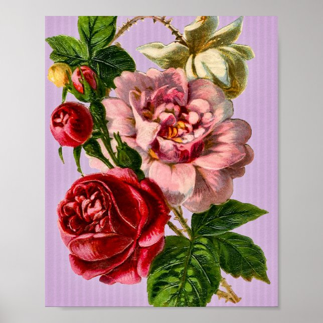Poster Rosa vermelha Vintage Floral (Frente)