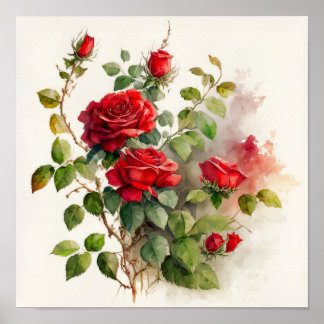 Poster Rosa vermelha Watercolor