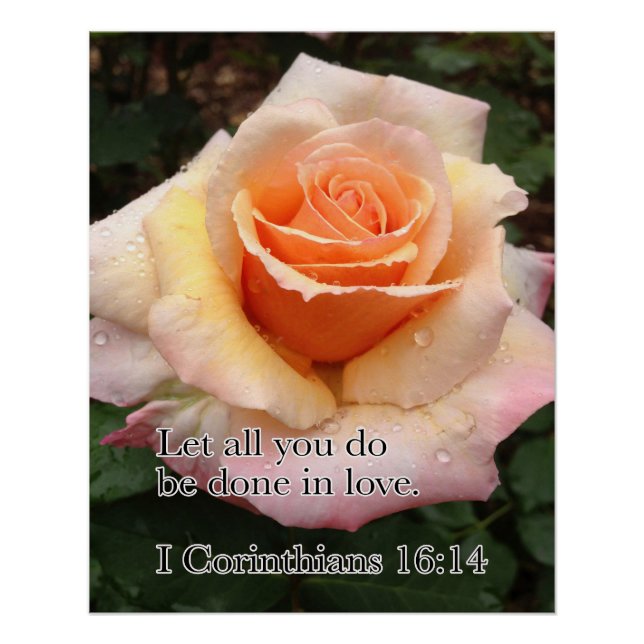 Pôster Rosa WET COM AMOR (Frente)