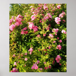 Poster Rosário Florido