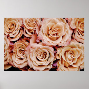 Poster Rosas