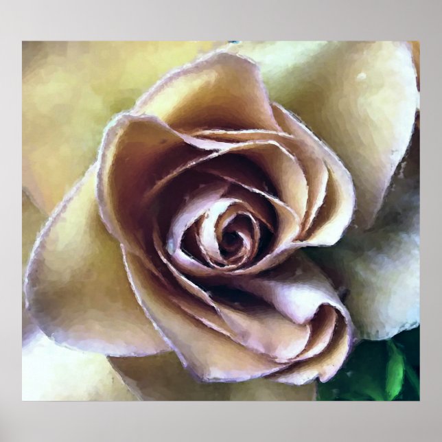 PÔSTER ROSAS (Frente)