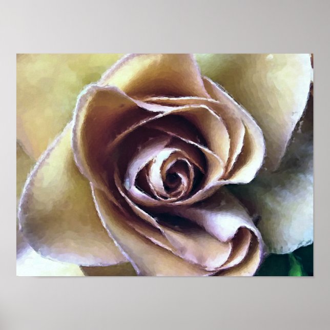 PÔSTER ROSAS (Frente)