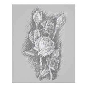 Pôster Rosas