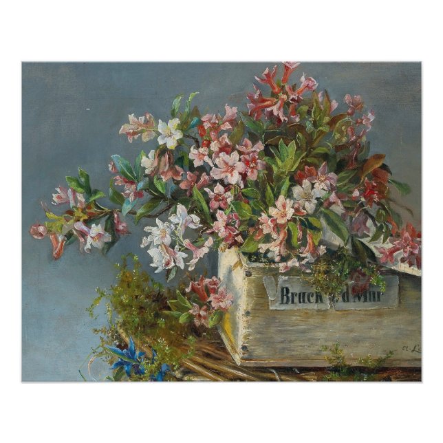 Pôster Rosas alpinos em uma janela - Andreas Lach (Frente)