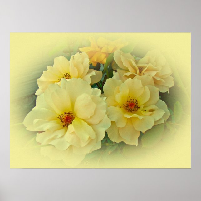 Poster Rosas Amarelas (Frente)